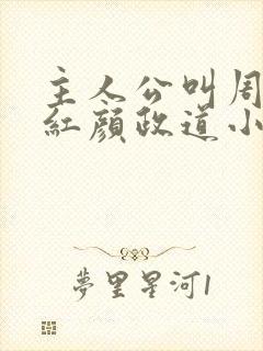 主人公叫周平的红颜政道小说封面