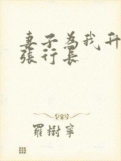 妻子为我升职和张行长封面