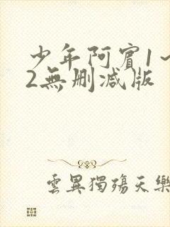少年阿宾1～72无删减版