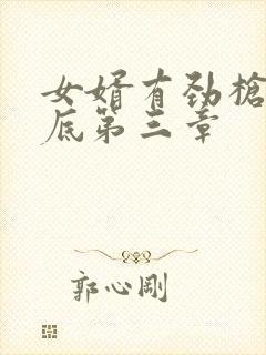 女婿有劲枪枪到底第三章