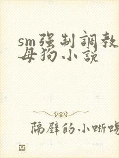 sm强制调教小母狗小说封面