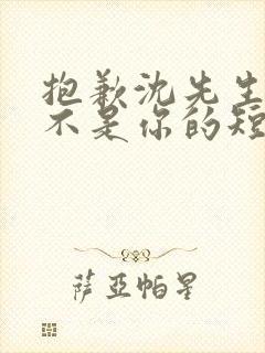 抱歉沈先生孩子不是你的短剧免费观看