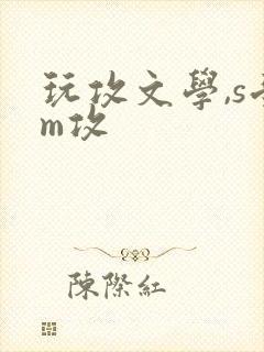 玩攻文学,s受m攻