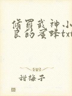 修罗武神小说善良的蜜蜂txt封面