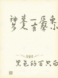 神墓—辰东免费多人有声小说