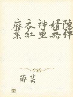 麻衣神婿陈黄皮叶红鱼无弹窗