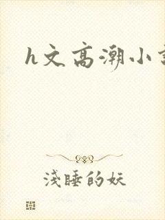 h文高潮小说
