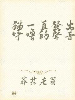 猫一直发出呼噜呼噜的声音是怎么回事封面
