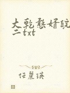 大乾憨婿皖南牛二txt封面