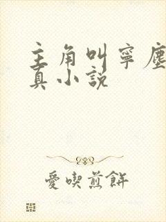 主角叫宁尘的修真小说封面