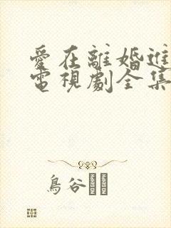 爱在离婚进行时电视剧全集免费观看