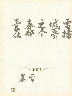 青春之城电视剧在哪个台播出封面