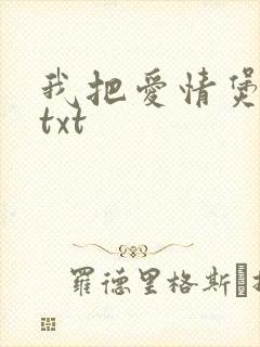 我把爱情煲成汤txt封面