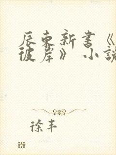 辰东新书《深空彼岸》 小说