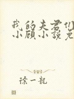 我的夫君们by小顾小说免费阅读