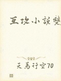 互攻小说双男主