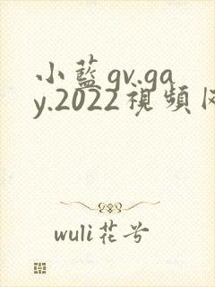 小蓝gv.gay.2022视频网站