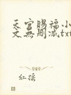 天官赐福小说全文无删减txt下载