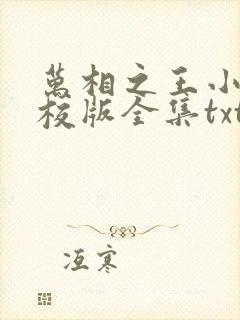 万相之王小说精校版全集txt