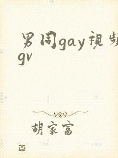 男同gay视频gv