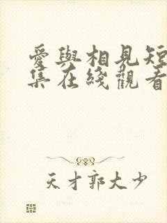 爱与相见短剧全集在线观看高清封面
