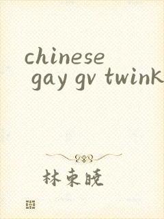 chinese gay gv twink tube tv封面