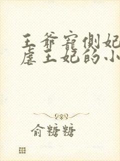 王爷宠侧妃王妃虐王妃的小说