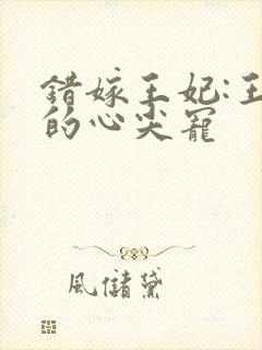 错嫁王妃:王爷的心尖宠
