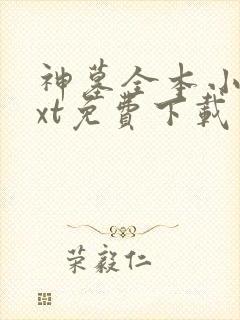 神墓全本小说txt免费下载封面