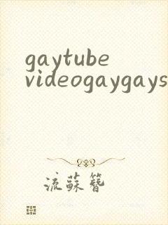 gaytubevideogaygaysex