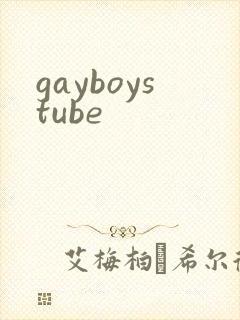 gayboystube