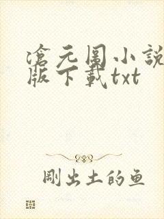 沧元图小说完整版下载txt