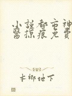 小说都市神级仙医掠痕免费版