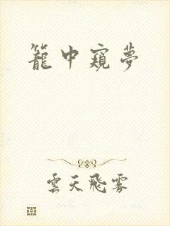 笼中窥梦封面
