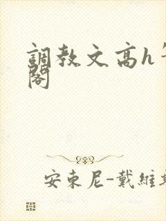 调教文高h笔趣阁