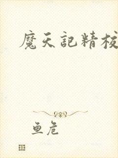 魔天记精校下载