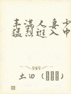 丰满人妻少妇被猛烈进入中文字幕