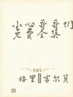 小心哥哥们漫画免费全集