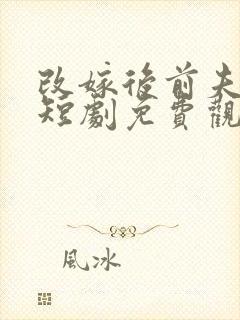 改嫁后前夫慌了短剧免费观看