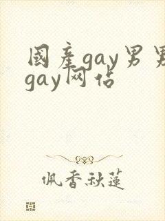 国产gay男男gay网站