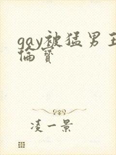 gay被猛男王伦宝