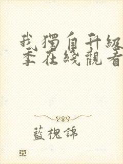 我独自升级第二季在线观看全集免费播放