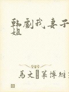 韩剧我妻子的姐姐
