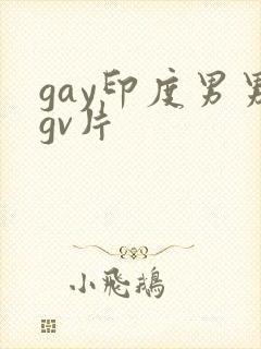 gay印度男男gv片