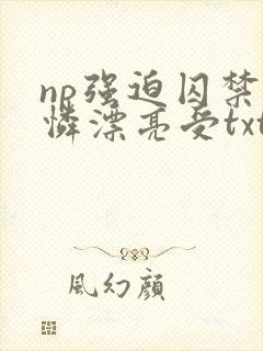 np强迫囚禁可怜漂亮受txt