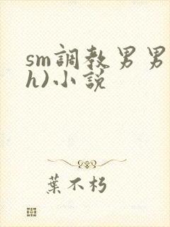 sm调教男男(h)小说