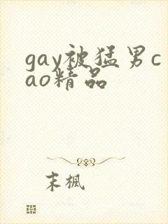 gay被猛男cao精品