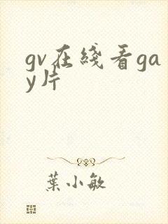 gv在线看gay片封面