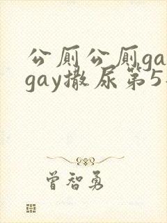 公厕公厕gaygay撒尿第5部
