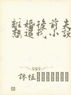 离婚后前夫总是想追我小说免费听书